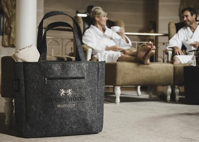 ホテル Loewen Montafon 4*